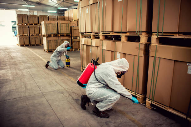Best Insect Control  in Indianola, WA