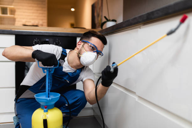 Best Mosquito Control Services  in Indianola, WA
