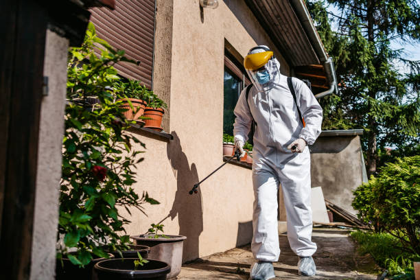 Best Affordable Pest Control Services  in Indianola, WA