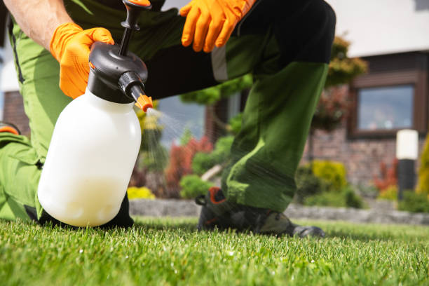 Best Wasp Removal Services  in Indianola, WA