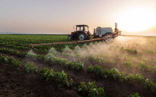 Best Pest Removal Services  in Indianola, WA