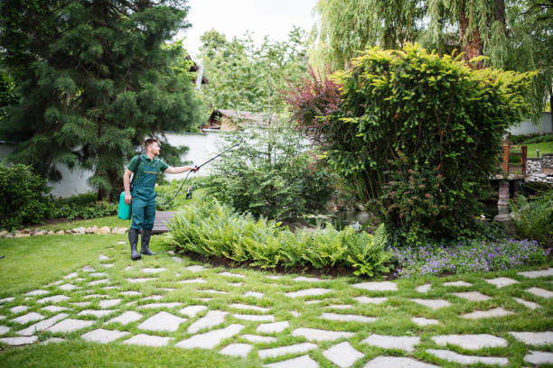 Best Affordable Pest Control Services  in Indianola, WA