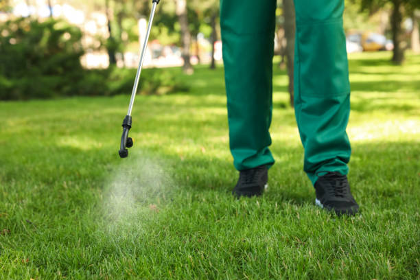 Best Pest Control Near Me  in Indianola, WA
