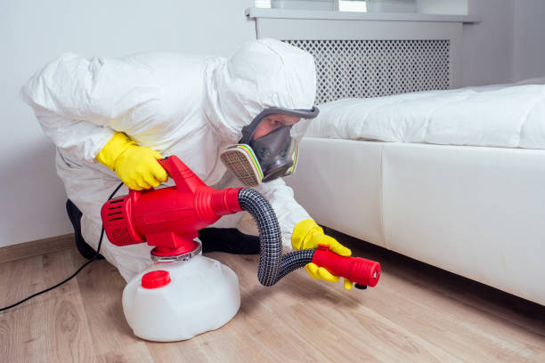 Best Flea Control Services  in Indianola, WA