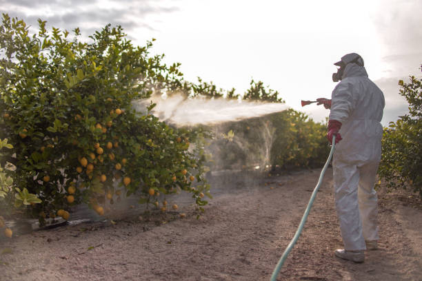 Best Exterminator Services  in Indianola, WA