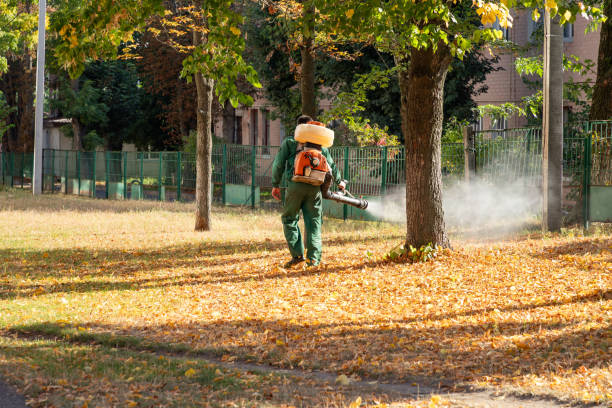 Pest Control Cost in Indianola, WA
