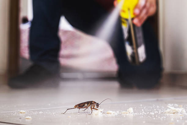 Best Wasp Removal Services  in Indianola, WA