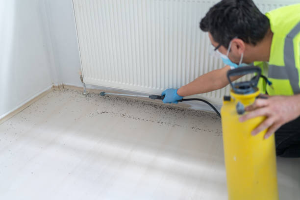 Trusted Indianola, WA Pest Control Experts