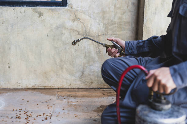 Best Local Pest Control Services  in Indianola, WA