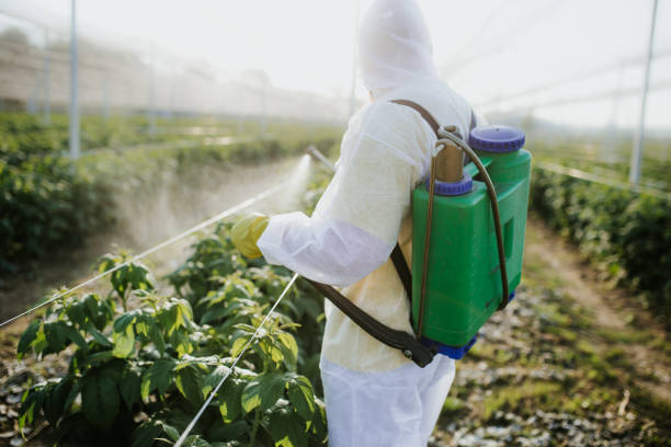 Best Residential Pest Control  in Indianola, WA